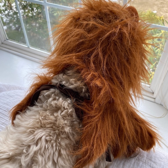 Lions Head Costume - Picture 6 of 13